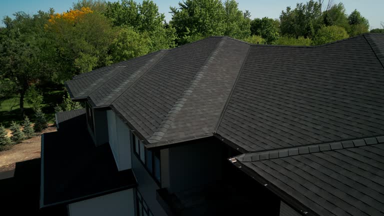 Best Metal Roofing Installation  in El Cerro, NM